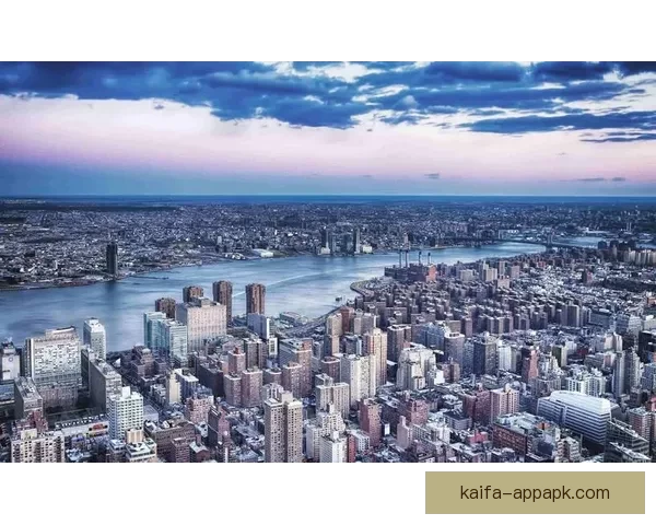 深度解析世界杯买球赔率变化规律与投注技巧全面指南