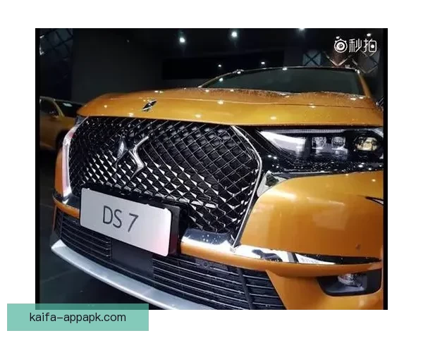 世界杯竞猜盘口深度分析与投注技巧探索